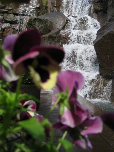 Waterfall Garden