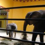 Zoo