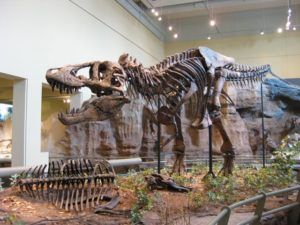 T-Rex