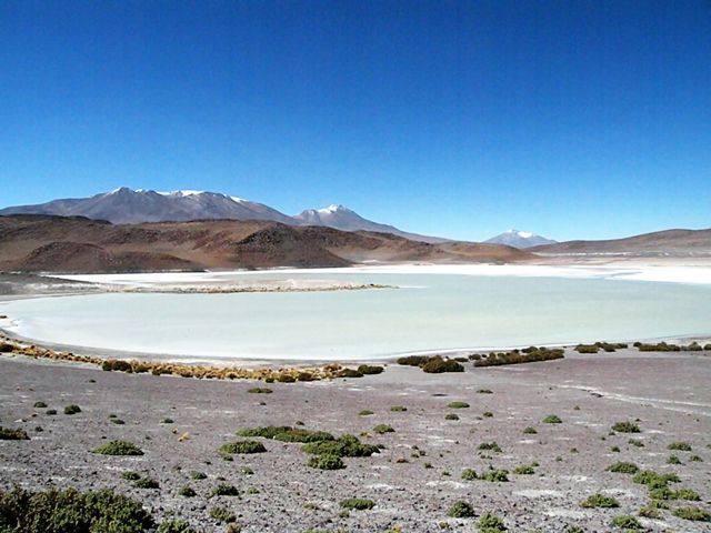 Desert