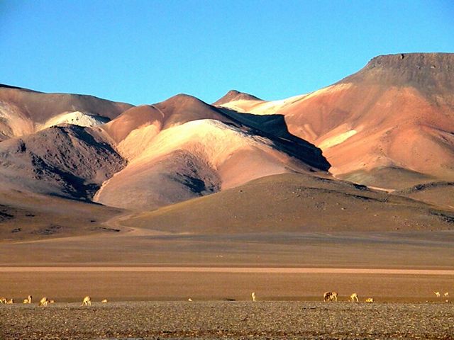 Desert