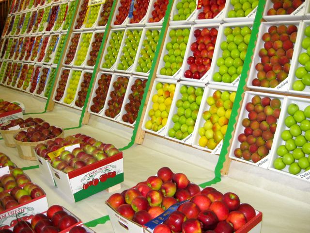 Apples