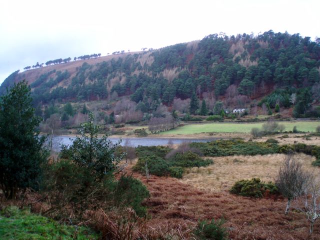 Lower Lake