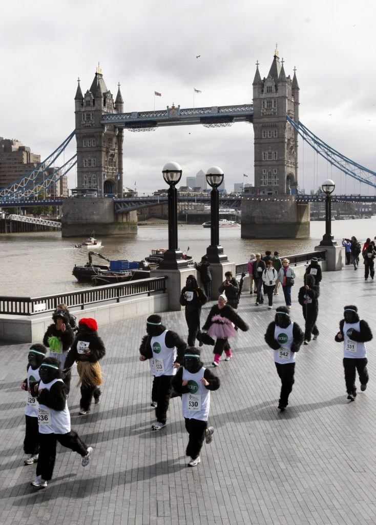Britain Gorilla Run