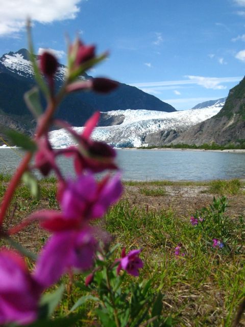Mendenhall Glacier