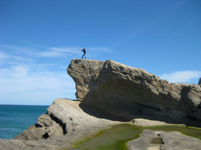 Castlepoint Pride Rock