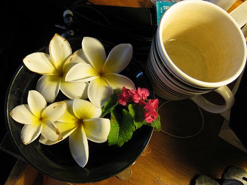 Plumerias and a coffee mug. Plumerias and a coffee mug.
