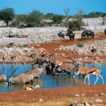 Etosha