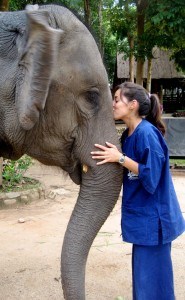 elephant camp thailand