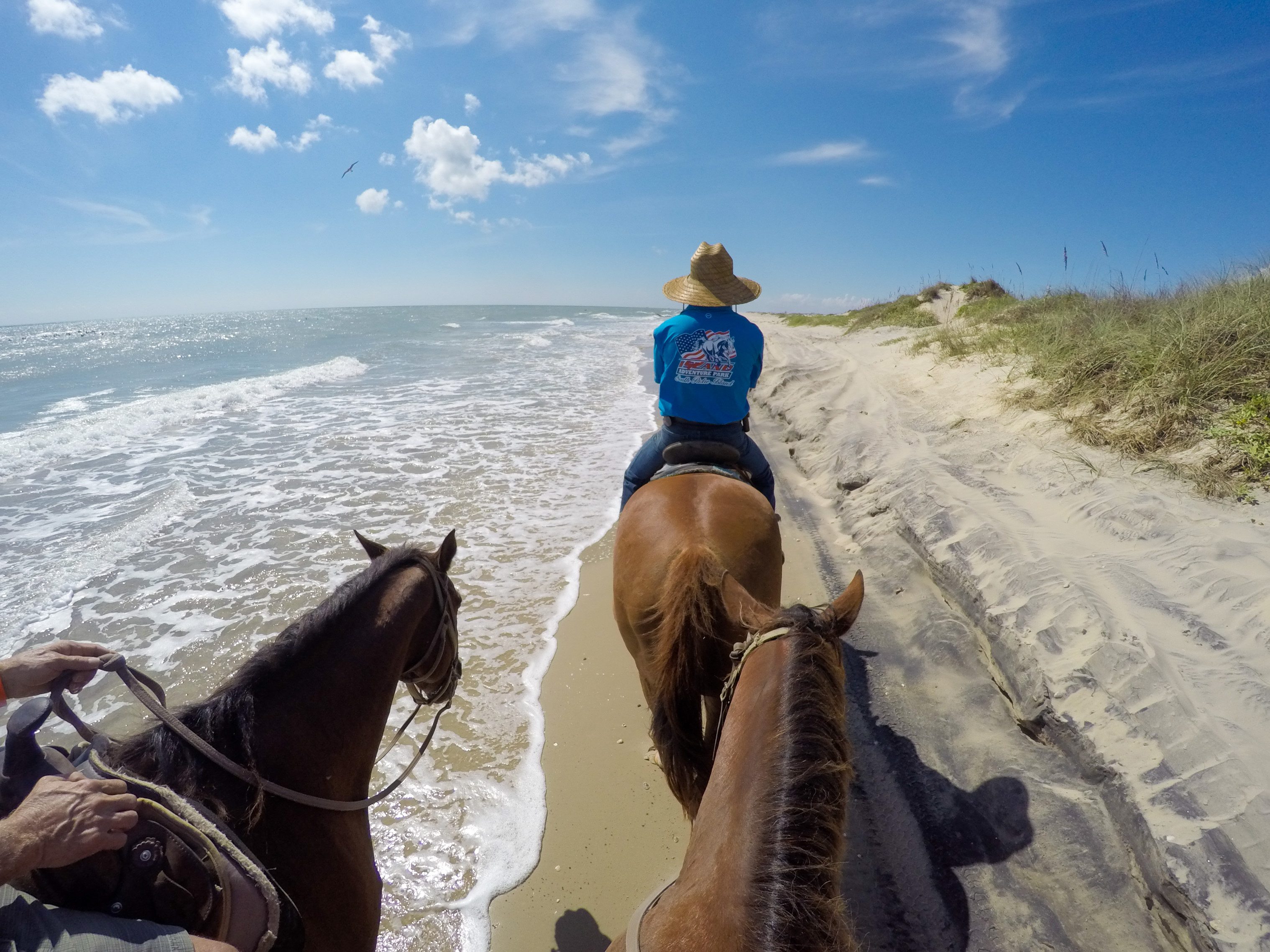 south padre guide: 10 best things to do on south padre island in texas