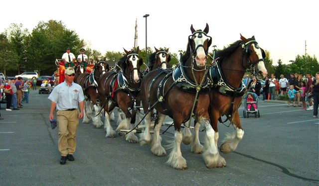 The Budweiser Clydesdales are back for Cardinals Opening Day