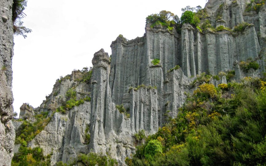 Walking the Paths of the Dead in New Zealand