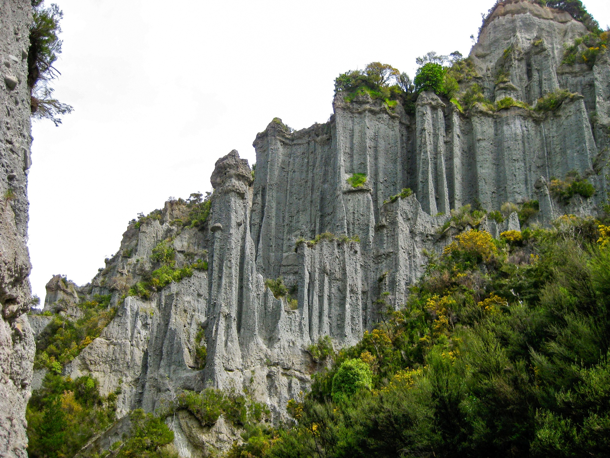 Putangirua Pinnacles in New Zealand