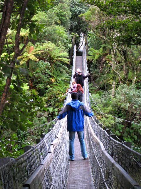 Swing bridge in Kaitoke Regional Park