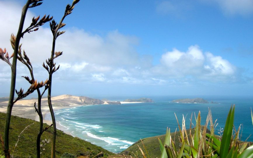 4 Things You Should Do in Northland, New Zealand