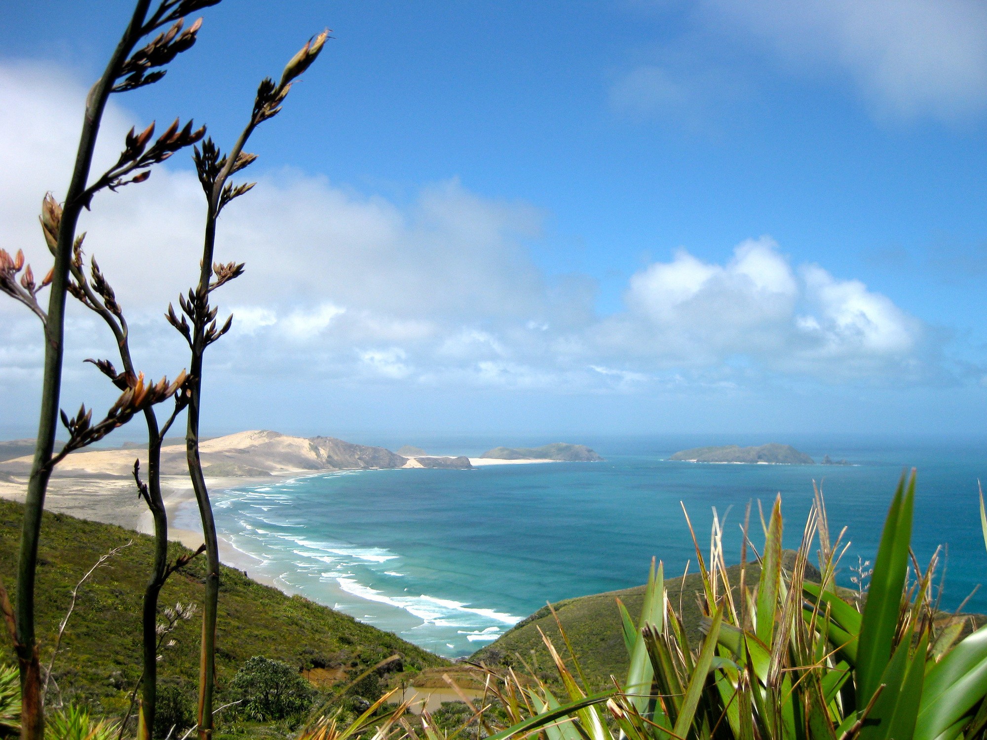 Cape Maria van Diemen