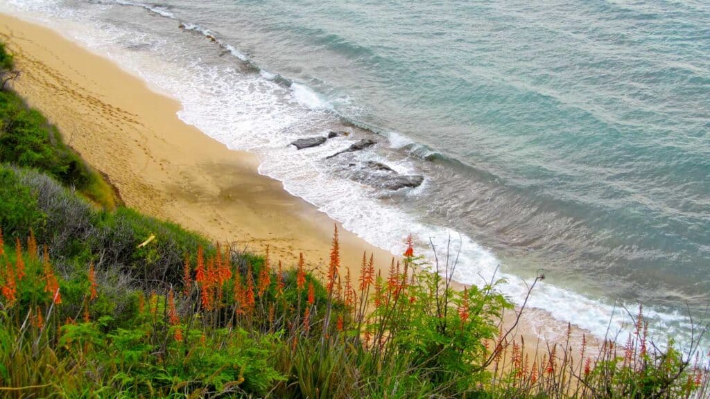 Diamond Head Beach