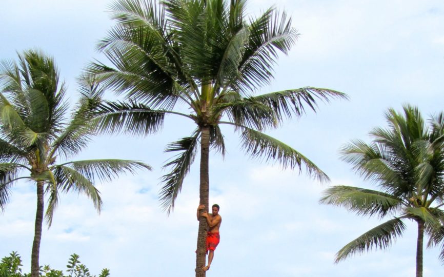 Does it Have to be Authentic to be Educational? – Hawaii’s Polynesian Cultural Center