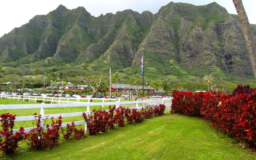 Ka’a’awa Valley: Where the Cows and the Dinosaurs Roam