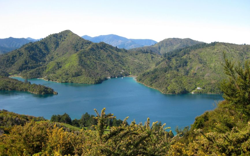 Hiking New Zealand’s Queen Charlotte Track