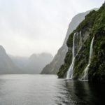 Doubtful Sound: Milford Sound’s Underrated Little Brother