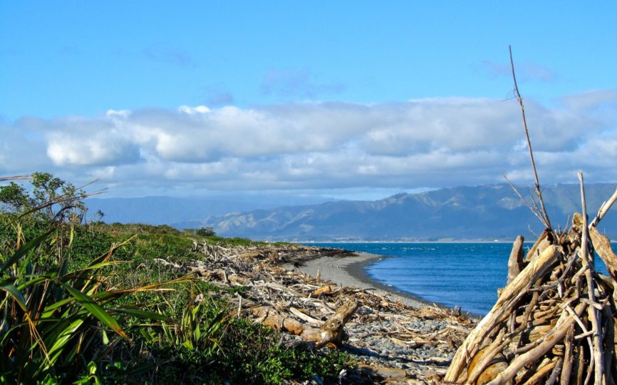 Conservation on Kapiti Island