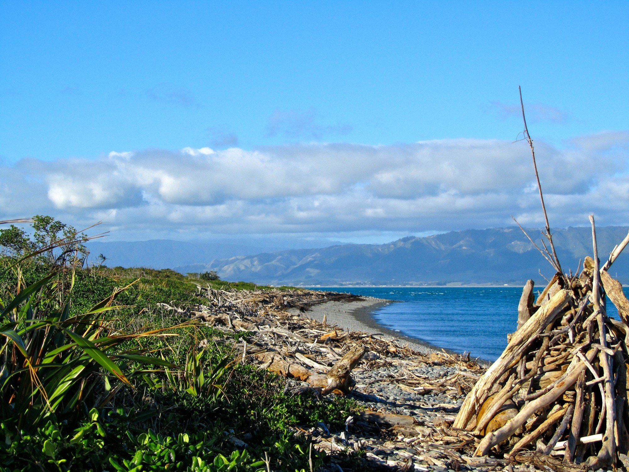 Kapiti Island in New Zealand