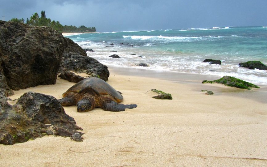 10 Beautiful Hawaiian Beaches – Oahu
