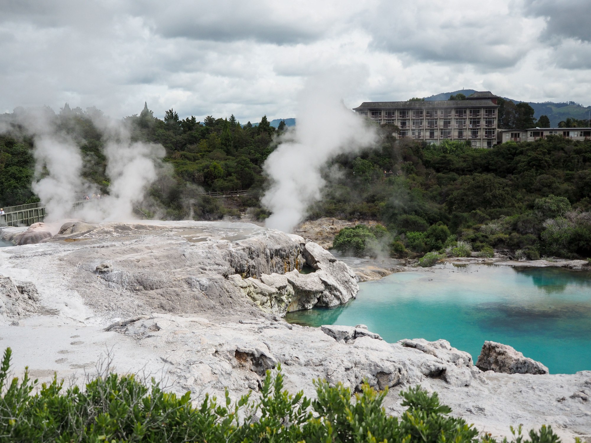 Te Puia in Rotorua