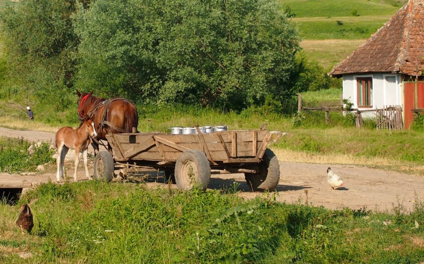 Village Scenes: Life in Rural Romania