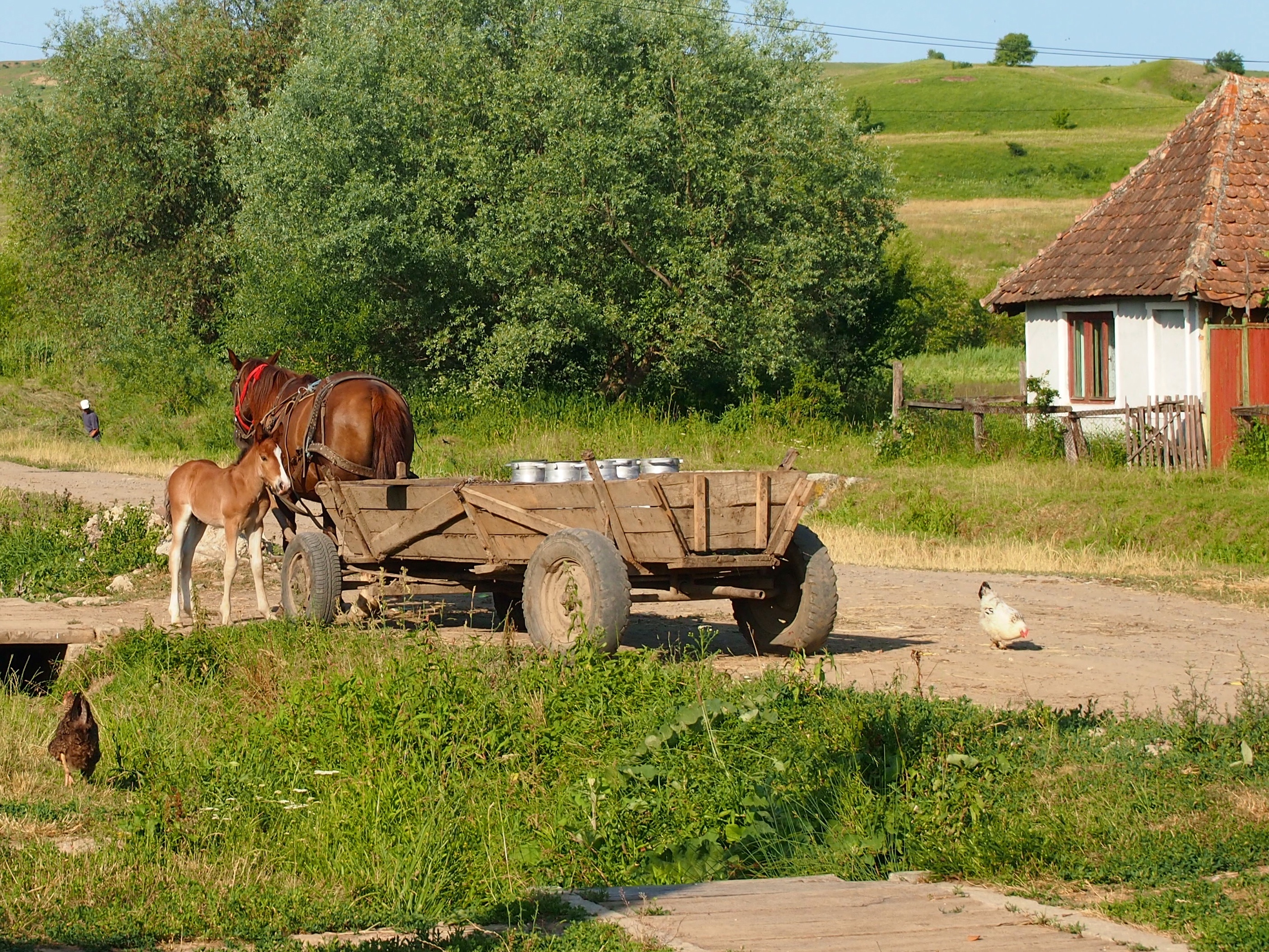 Rural Romania