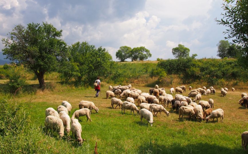 Is Bulgaria Beautiful? Heck Yes, It Is