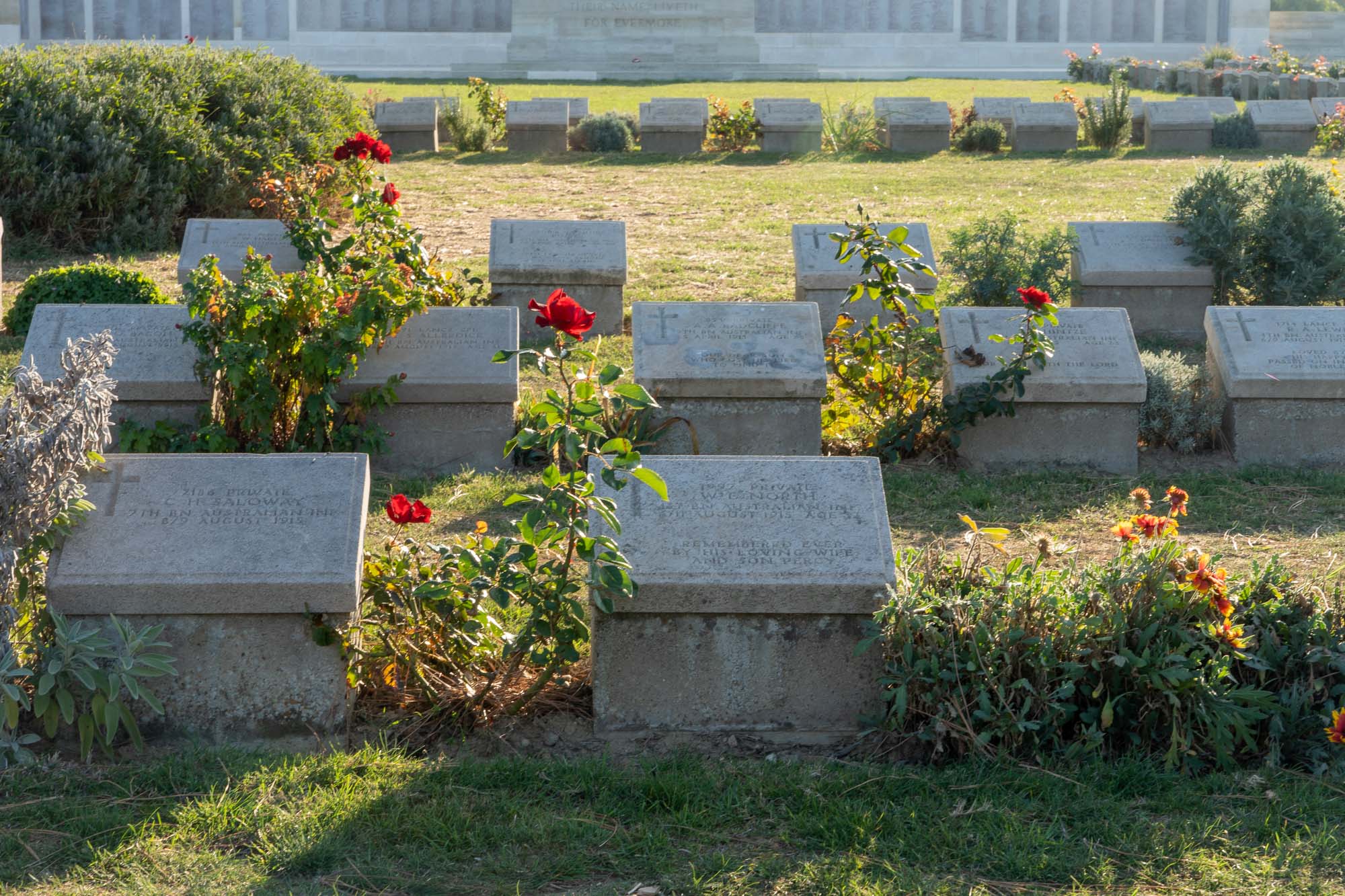 Gallipoli graves