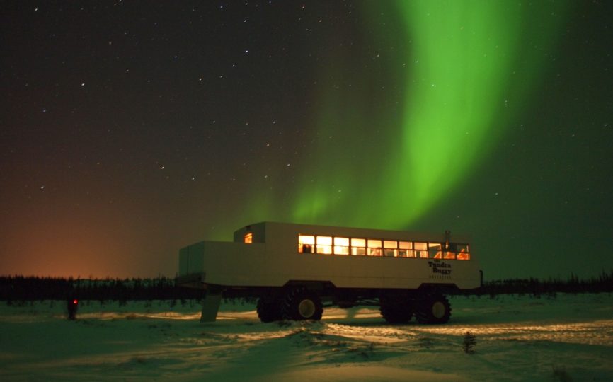 3 Reasons to Suck Up the Cost and Visit Churchill, Manitoba