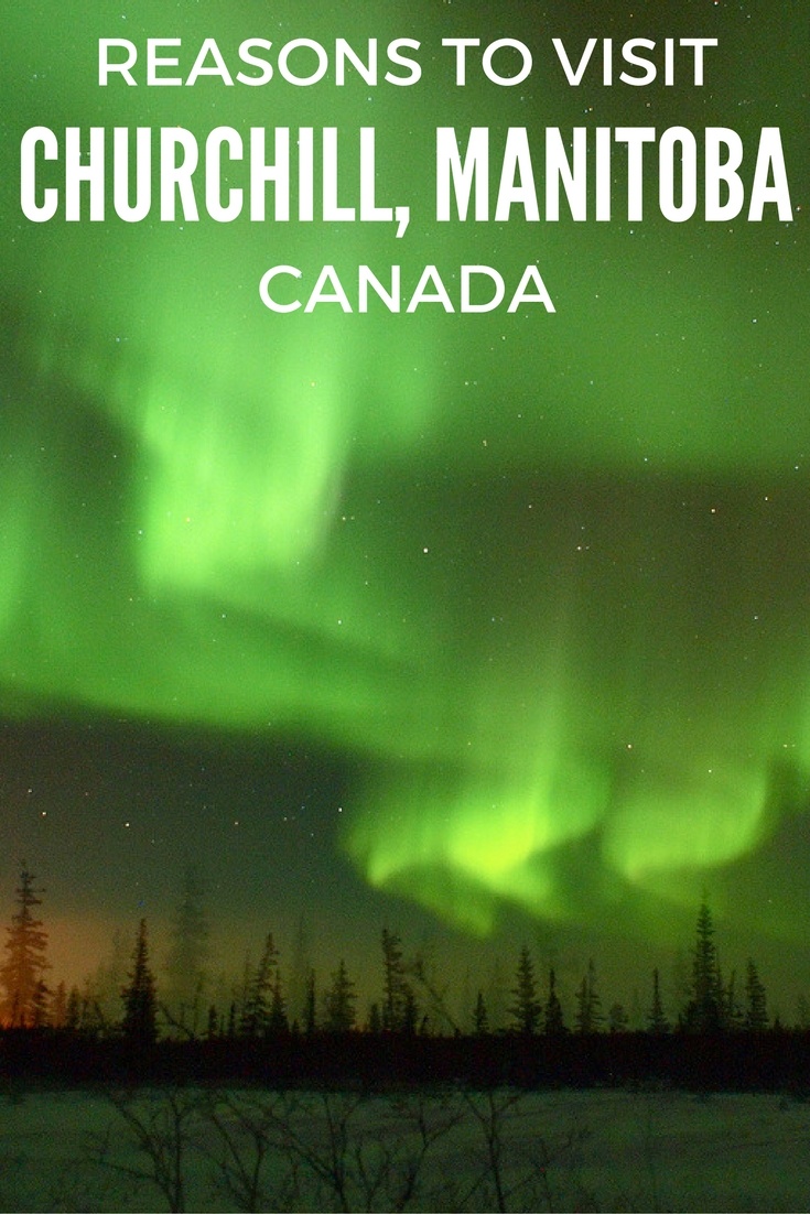 Reasons to visit Churchill, Manitoba