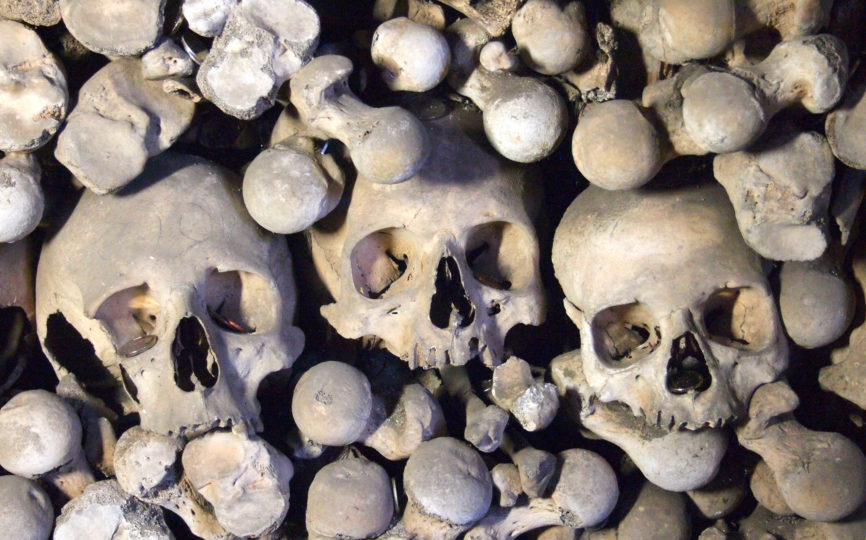 A Church of Bones