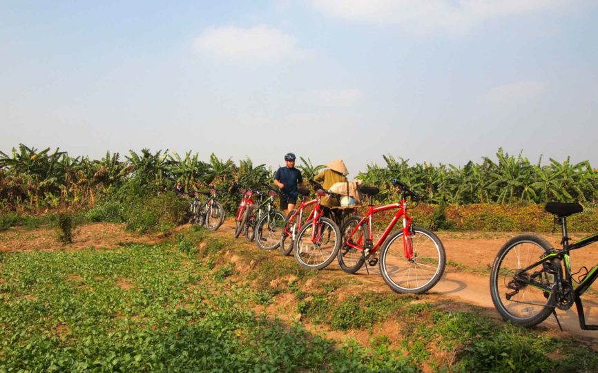 Of Kumquat Trees and Death Wishes: Cycling in Hanoi