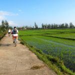Central Vietnam by Bike: Rice Paddies and Smiles
