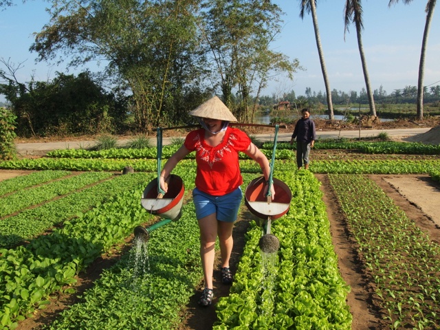 Farming in Vietnam