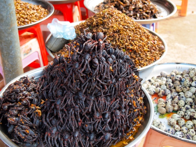 Eating spiders in Cambodia