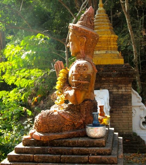 A Morning With Monks in Chiang Mai