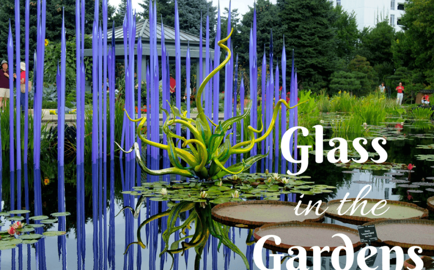 Glass in the Gardens: Chihuly Art in Denver
