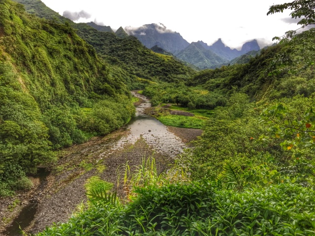 Tahiti, or Jurassic Park?