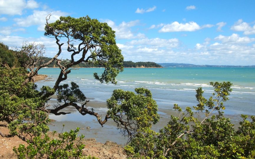 A Day Trip to Waiheke Island