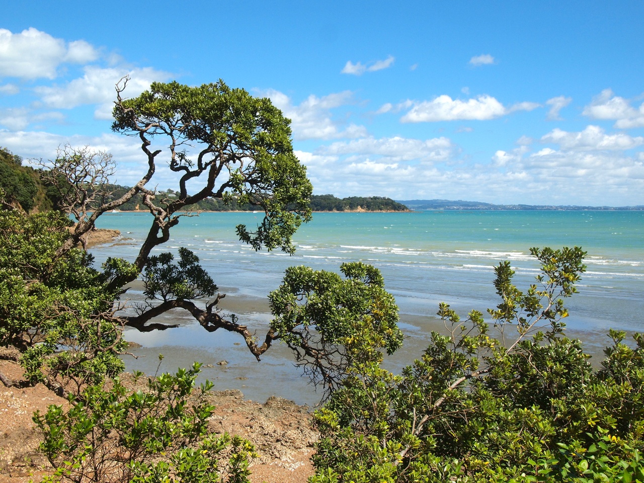 Waiheke Island