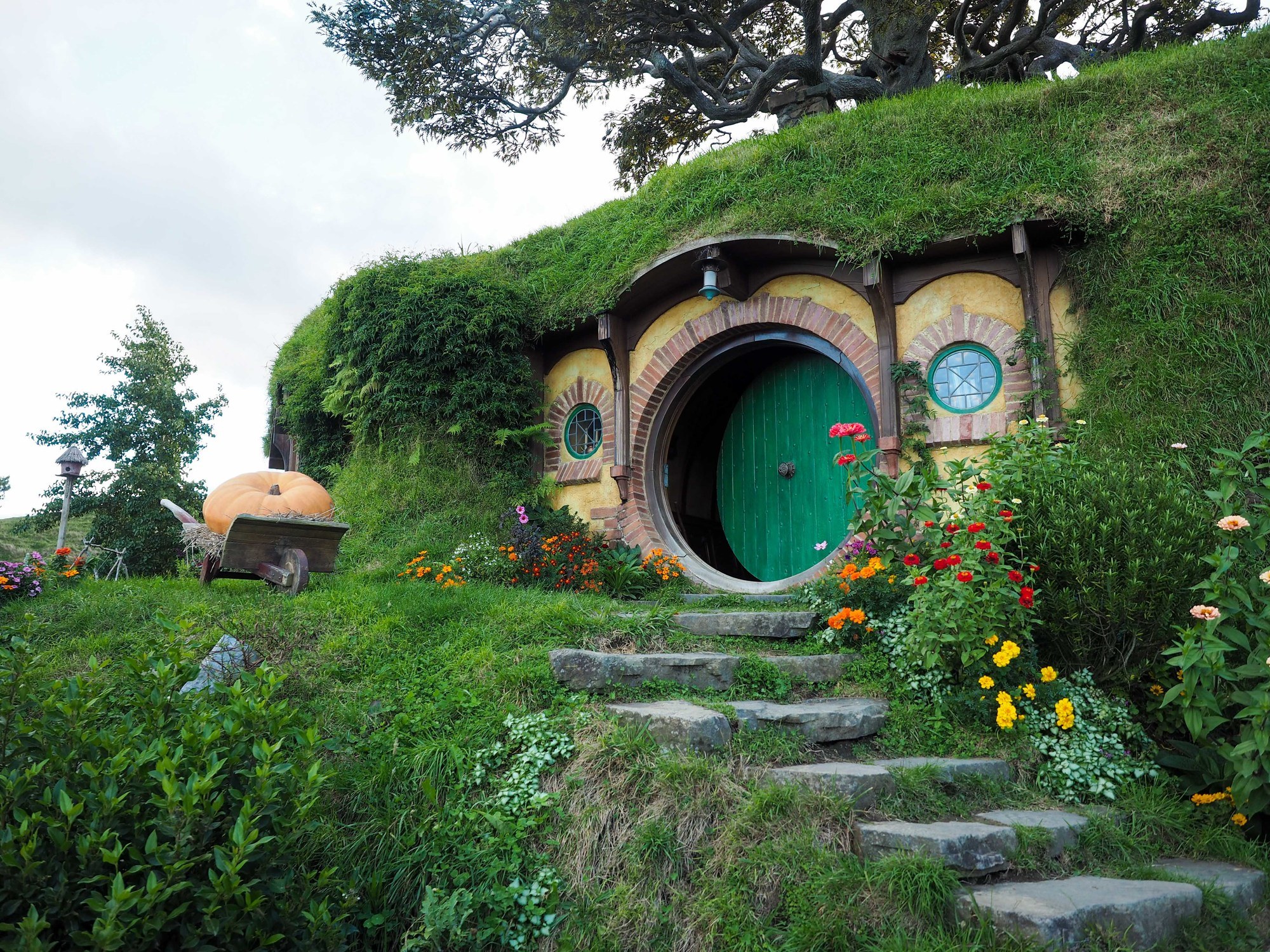 Visiting Hobbiton in New Zealand