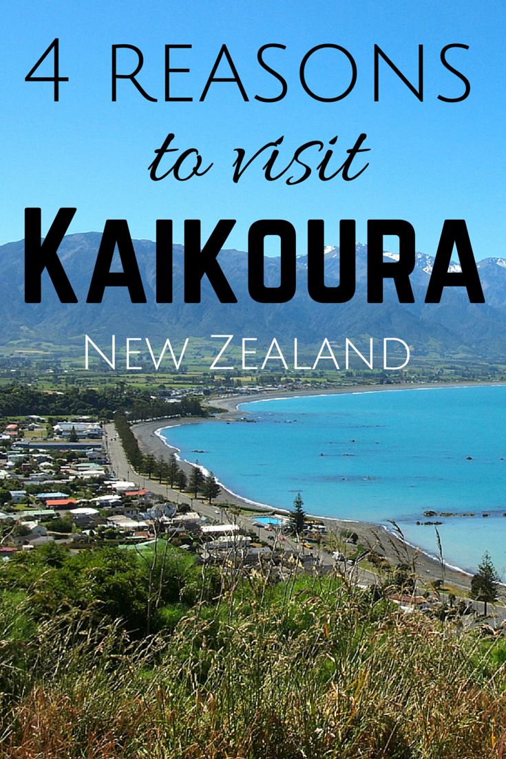 4 Reasons You Should Visit Kaikoura, New Zealand