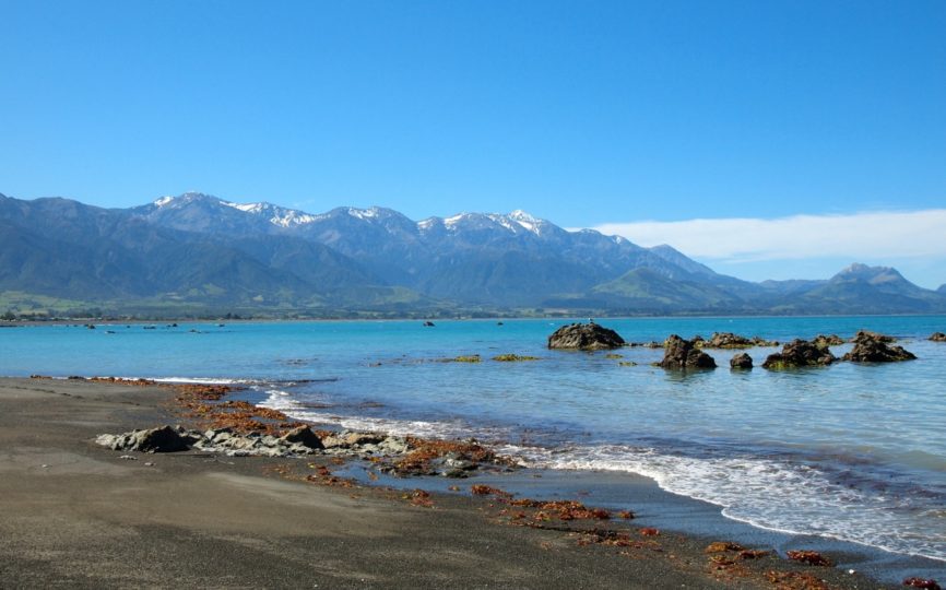 4 Reasons You Should Visit Kaikoura, New Zealand