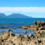 6 Ways to Save Money While Traveling in New Zealand