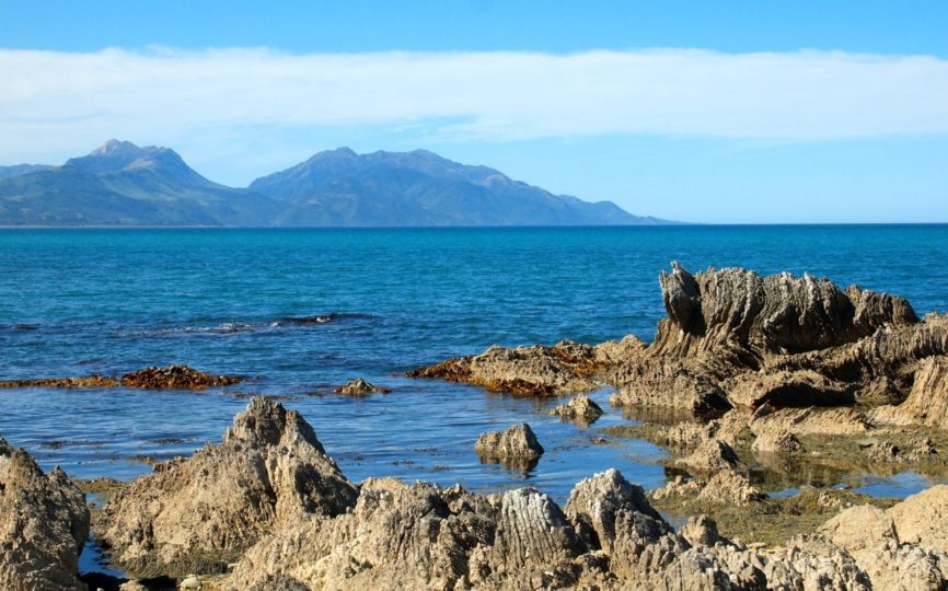 6 Ways to Save Money While Traveling in New Zealand